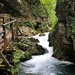 Schoba Typ D Kirchbach (Carinthia)
