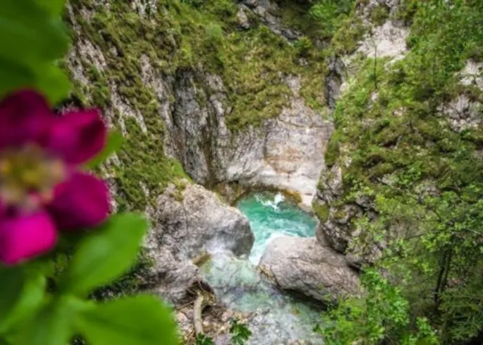 Schoba Typ D * Kirchbach (Carinthia)